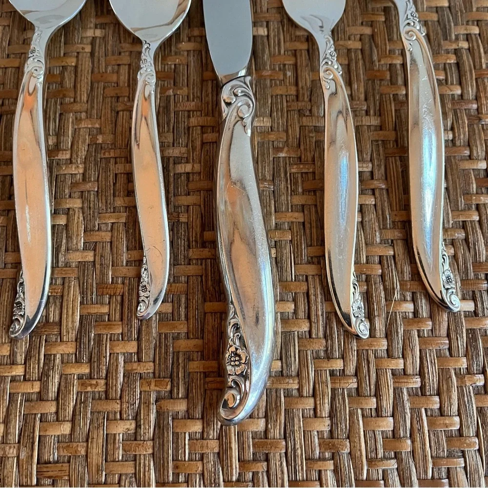 Leilani Silver-plated Silverware - Vintage 1847 Rogers Bros, One Place Setting
